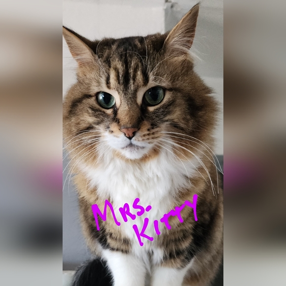 Meet your Posher, Felice - Picture 5 of 7